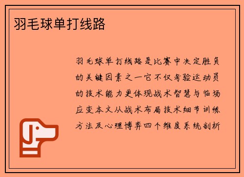羽毛球单打线路